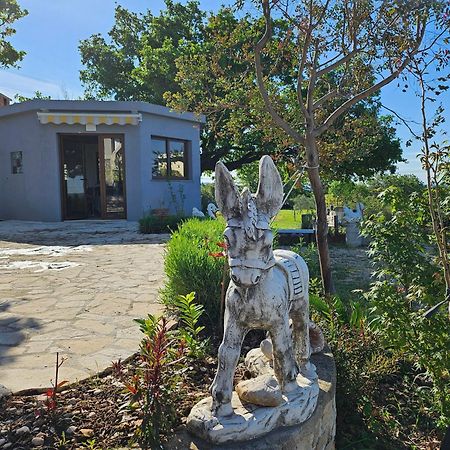 Villa Doci Задар Экстерьер фото